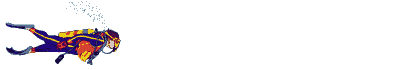 Diver job graphics