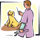 Dog groomer job graphics