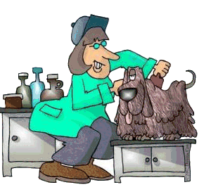 Dog groomer job graphics