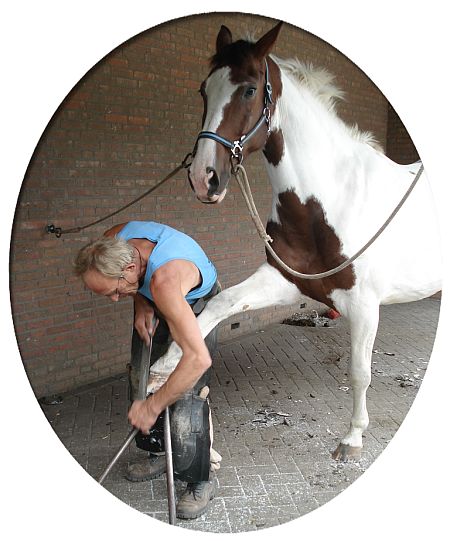 Farrier job graphics