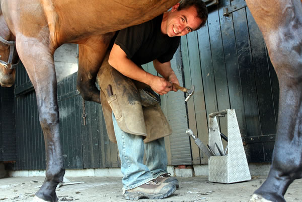 Farrier job graphics