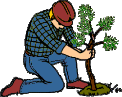 Gardener job graphics