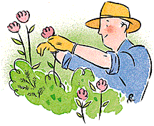 Gardener job graphics