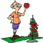 Gardener job graphics