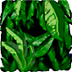 Hunters job graphics