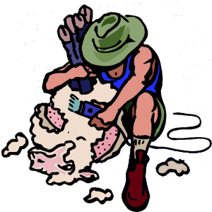 Sheep shearing job graphics