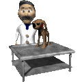 Vet job graphics