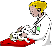 Vet job graphics