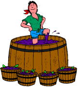 Wine brewer job graphics