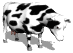 Animals mini graphics