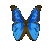 Animals mini graphics