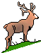 Animals mini graphics