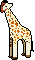 Animals mini graphics