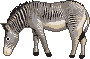 Animals mini graphics