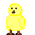 Animals mini graphics