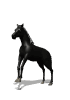 Animals mini graphics