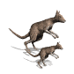 Animals mini graphics