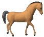 Animals mini graphics