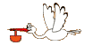 mini-graphics-baby-999484.gif