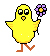 Birds mini graphics
