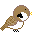 Birds mini graphics