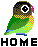Birds mini graphics