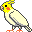 Birds mini graphics