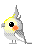 Birds mini graphics
