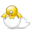 Birds mini graphics