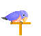 Birds mini graphics