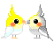 Birds mini graphics
