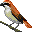 Birds mini graphics
