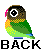 Birds mini graphics