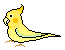 Birds mini graphics