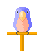 Birds mini graphics