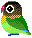 Birds mini graphics