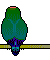 Birds mini graphics