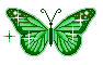 Butterflies mini graphics