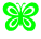 Butterflies mini graphics