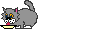 Cats mini graphics