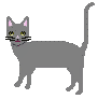 Cats mini graphics