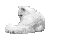 Cats mini graphics