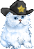 Cats mini graphics