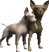 Dogs mini graphics