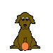 Dogs mini graphics