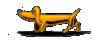 Dogs mini graphics