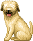 Dogs mini graphics
