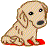 Dogs mini graphics