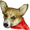 Dogs mini graphics