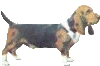 Dogs mini graphics